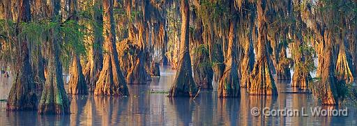 Lake Martin At Sunrise 45855-6.jpg - Photographed at Lake Martin near Breaux Bridge, Louisiana, USA.